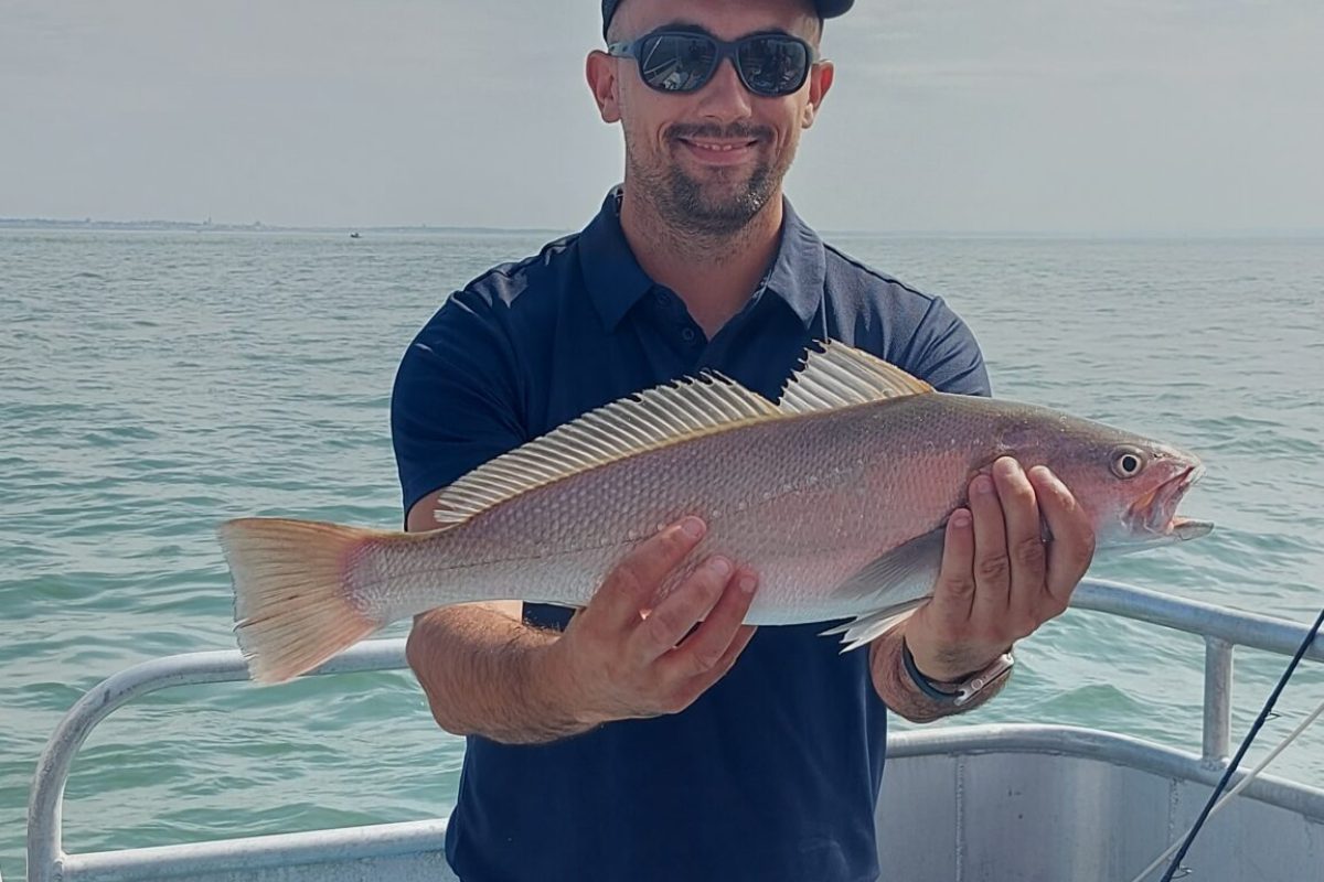 Pêche au maigre